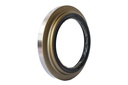 SEAL; OIL,RR HUB,INNER