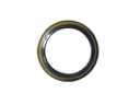 SEAL; OIL,RR HUB,INNER