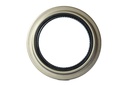 SEAL; OIL,RR HUB,INNER