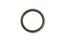 SEAL; OIL,FRT HUB