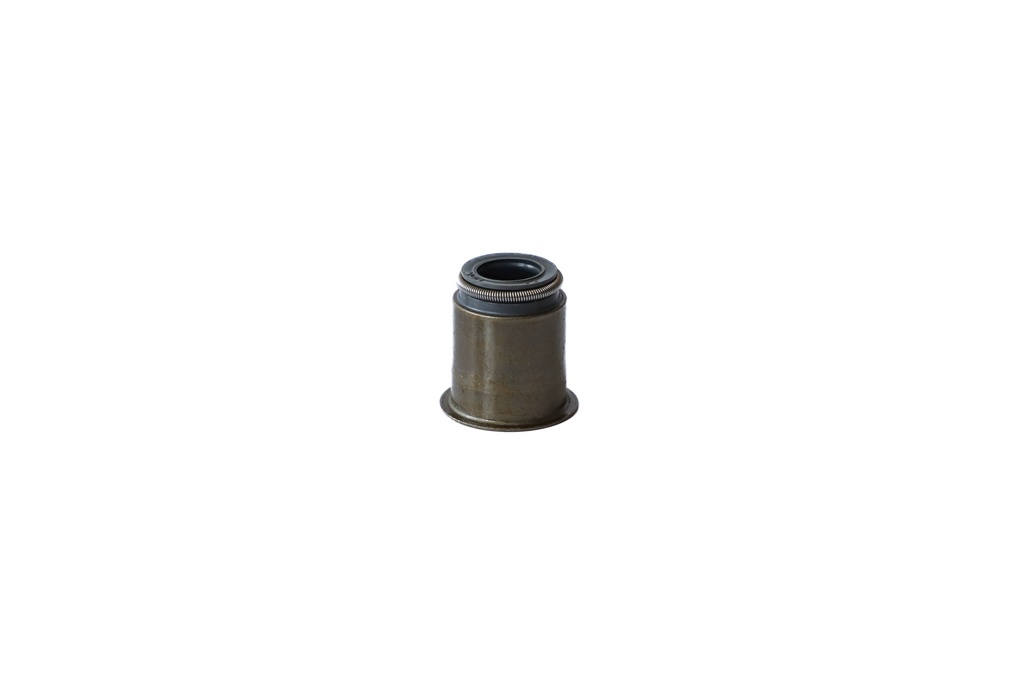 SEAL; VLV GUIDE