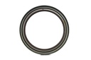 SEAL; OIL,CR/SHF,RR