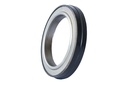 SEAL; OIL,RR HUB,INNER