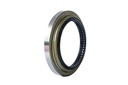 SEAL; OIL,RR HUB,INNER