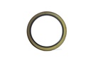 SEAL; OIL RR HUB INNER