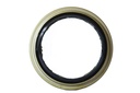SEAL; OIL,RR HUB,INNER