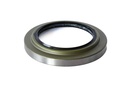 SEAL; OIL,RR HUB,INNER