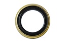 SEAL; OIL,RR HUB,INNER