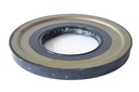 SEAL; OIL RR HUB INNER