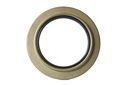 SEAL; OIL,RR HUB,INNER