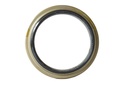 SEAL; OIL RR HUB INNER
