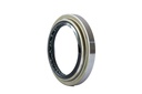 SEAL; OIL,RR HUB,INNER