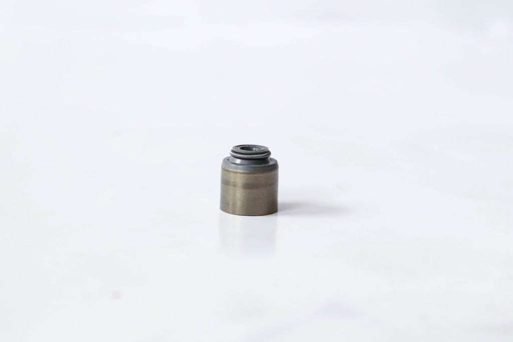 SEAL; OIL VLV GUIDE