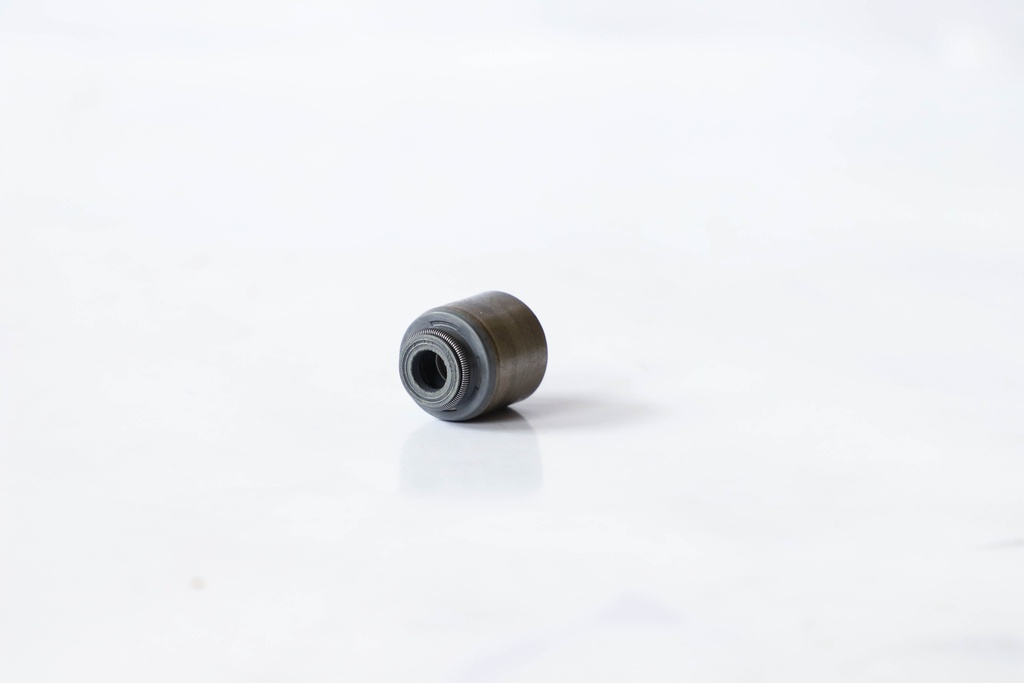 SEAL; OIL VLV GUIDE