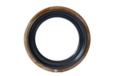 SEAL; OIL,INPUT SHAFT
