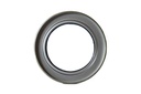 SEAL; OIL,RR HUB,INNER